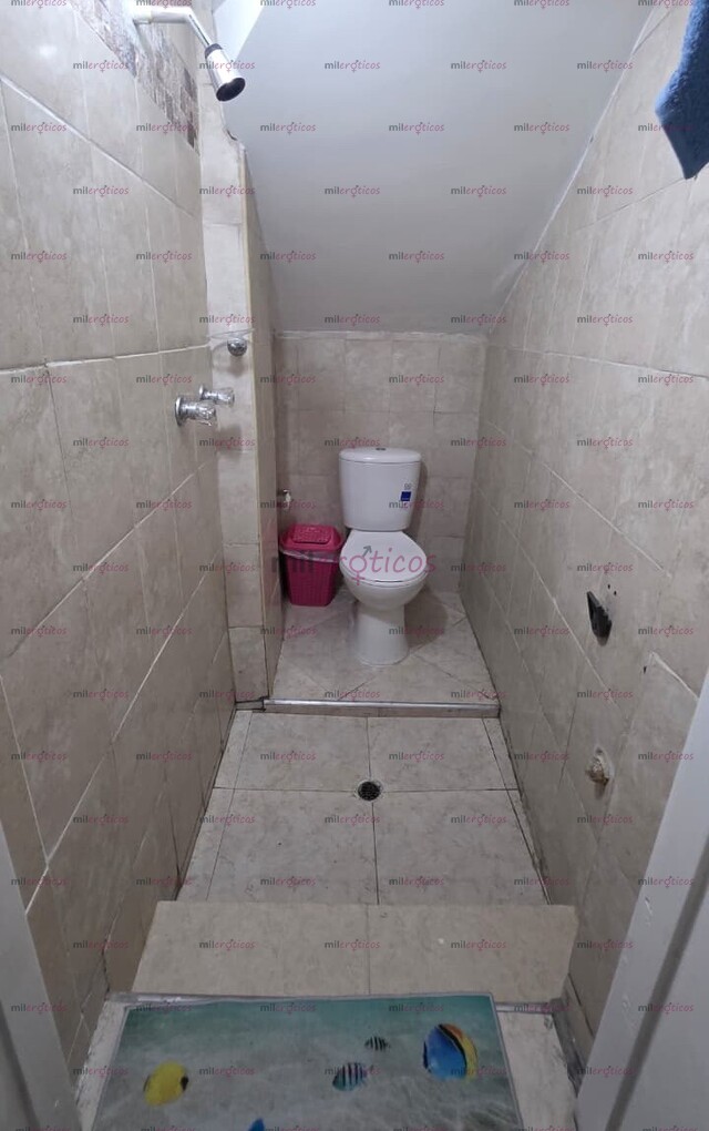 FOTOS DE APARTAMENTO DISPONIBLE PARA CHICAS INDEPENDIENTES