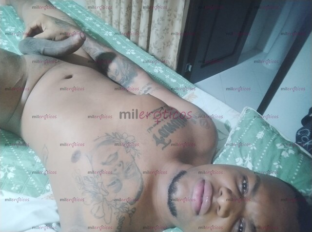 FOTOS DE NUEVO COSTEÑO ACTIVO DE 24 CM DOMINANTE FULL LECHERO