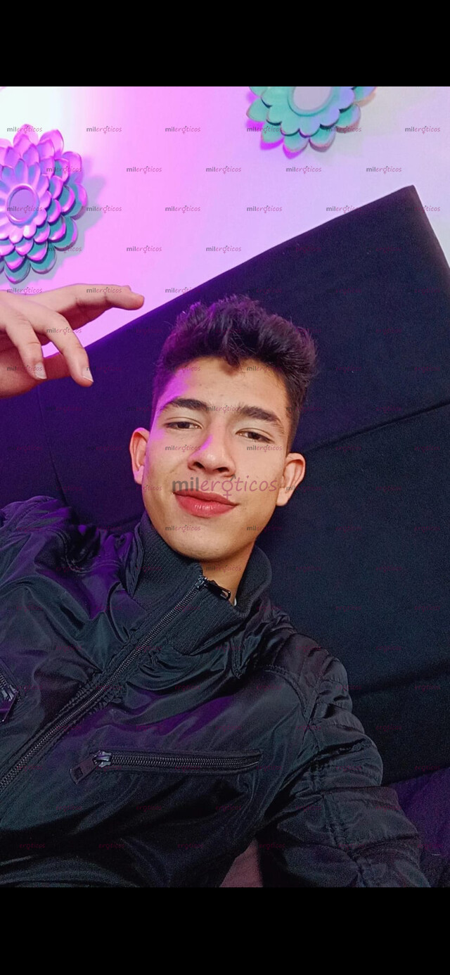 FOTOS DE NEW. POLLITO VERGON VERSÁTIL PINTA SERIO COMPLACIENTE