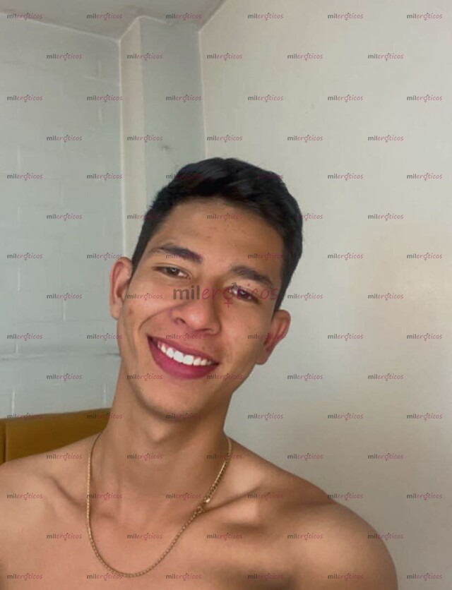 FOTOS DE NEW. POLLITO VERGON VERSÁTIL PINTA SERIO COMPLACIENTE