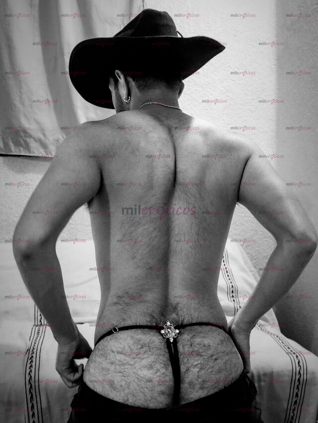 FOTOS DE CHILANGO PELUDO Y JUGUETÓN. READY TO HAVE FUN.