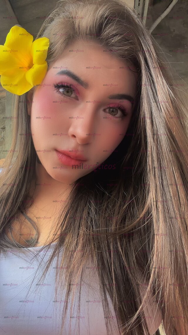 FOTOS DE EMILY HERMOSA ACOMPAÑANTE TOP DISPONIBLE PARA DARTE UN BUEN SERVICIO