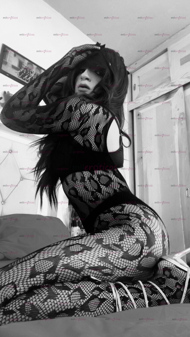 FOTOS DE SHANTY TU NIÑA TRANS FAVORITA ESTA DE REGRESO