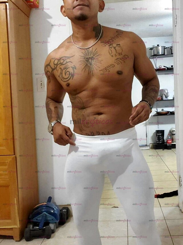 FOTOS DE CHACAL TATUADO MORENO Y BIEN VERGON CON 20CM REALES