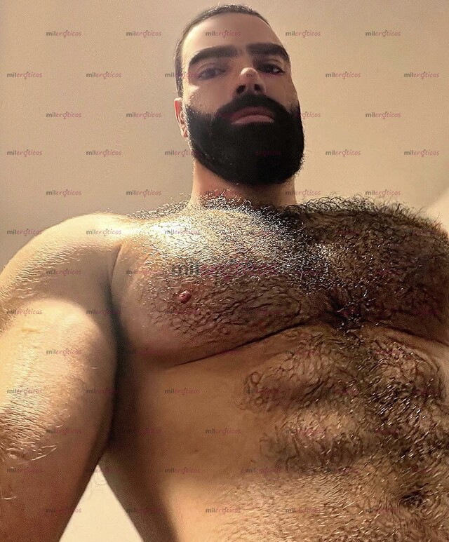 FOTOS DE MACHO ARABE VERGON ACTIVO XL PELUDO BARBON