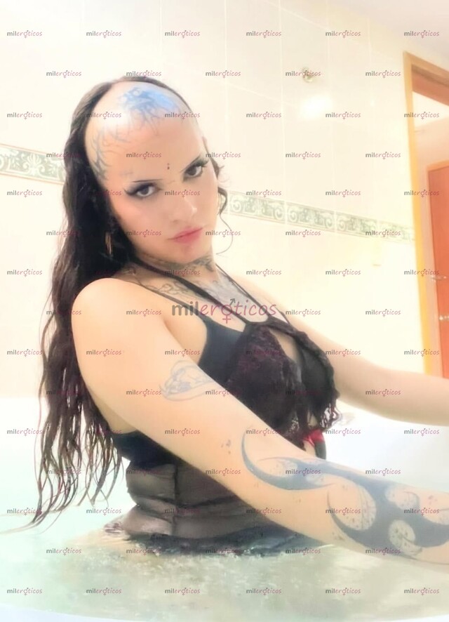 FOTOS DE GATITA SUMISA DISPONIBLE PARA TUS FANTASÍAS