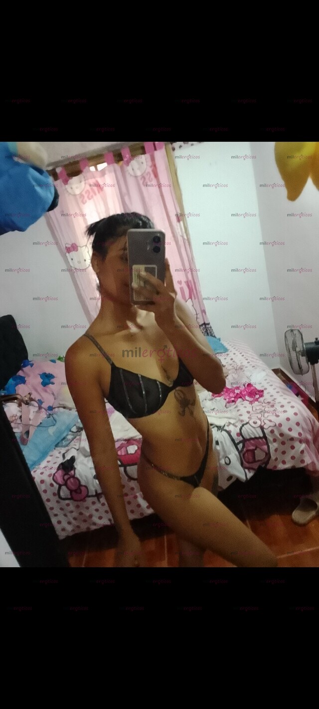 FOTOS DE TU COMPAÑIA IDEAL PARA UN MOMENTO AGRADABLE