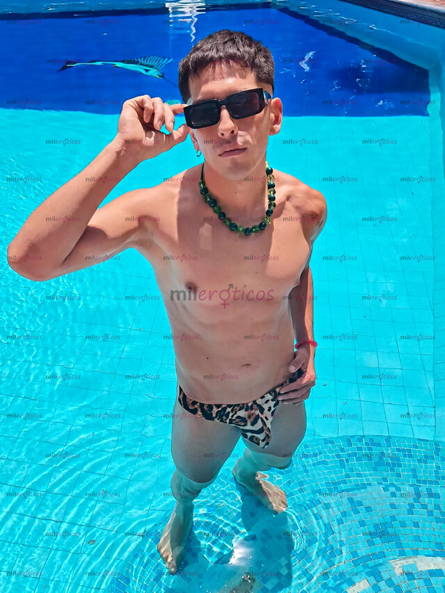 FOTOS DE CHACAL MEXICANO ACTIVO DOMINANTE ATLÉTICO DISPONIBLE