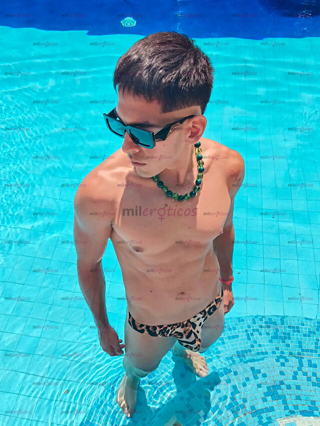 FOTOS DE CHACAL MEXICANO ACTIVO DOMINANTE ATLÉTICO DISPONIBLE