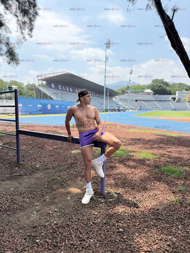 FOTOS DE CHACAL MEXICANO ACTIVO DOMINANTE ATLÉTICO DISPONIBLE