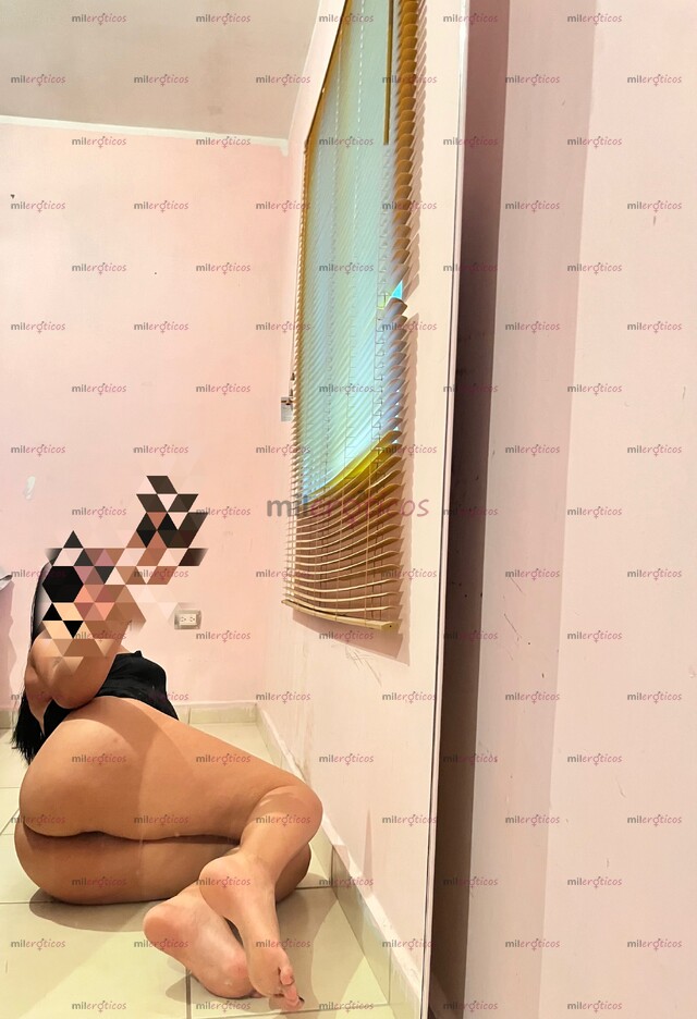 FOTOS DE CHICA NUEVA EN EL AMBIENTE INDEPENDIENTE SOFY SÚPER COMPLACIENTE Y CACHONDA AMOR