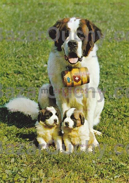 FOTOS DE PRUEBA DE ANUNCIOS PRUEBA DE ANUNCIOS PRUEBA DE ANUNCIOS