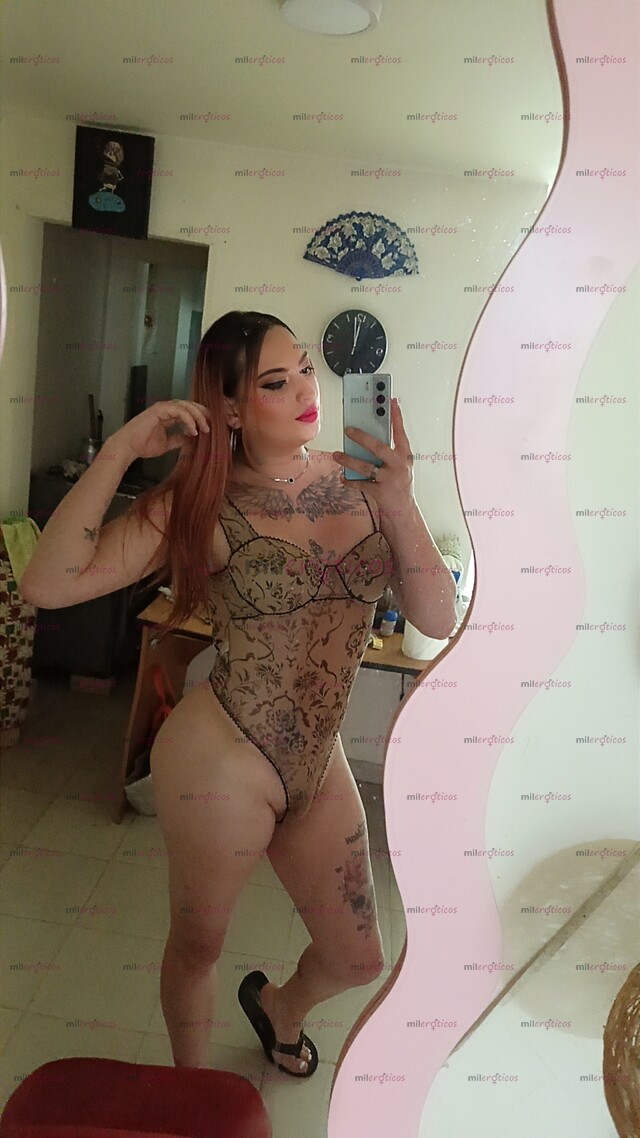 FOTOS DE FONTIBON ECHA TRANS, PERRITA VERSÁTIL COMPLACIENTE