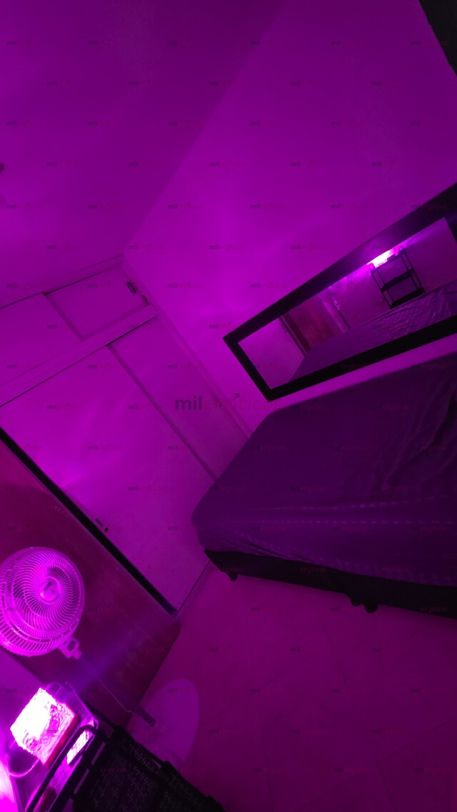 FOTOS DE APARTAMENTO DISPONIBLE PARA TRABAJAR A TU DISPOSICIÓN.