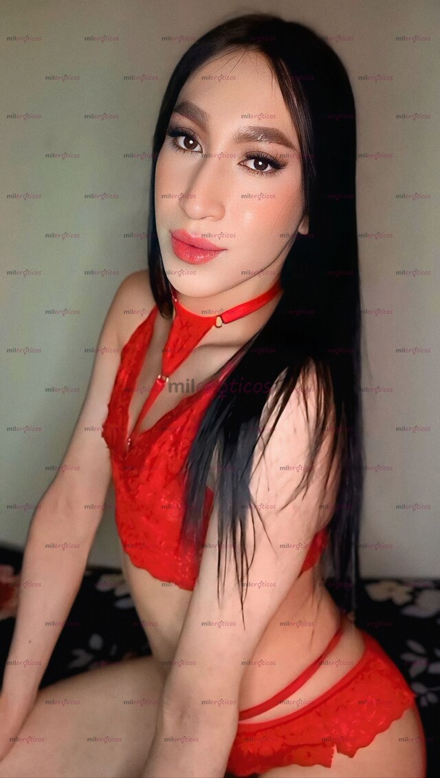 FOTOS DE CHICA TRANS FEMENINA Y EDUCADA, CULITO Y VERGA DELICIOSA LECHERA