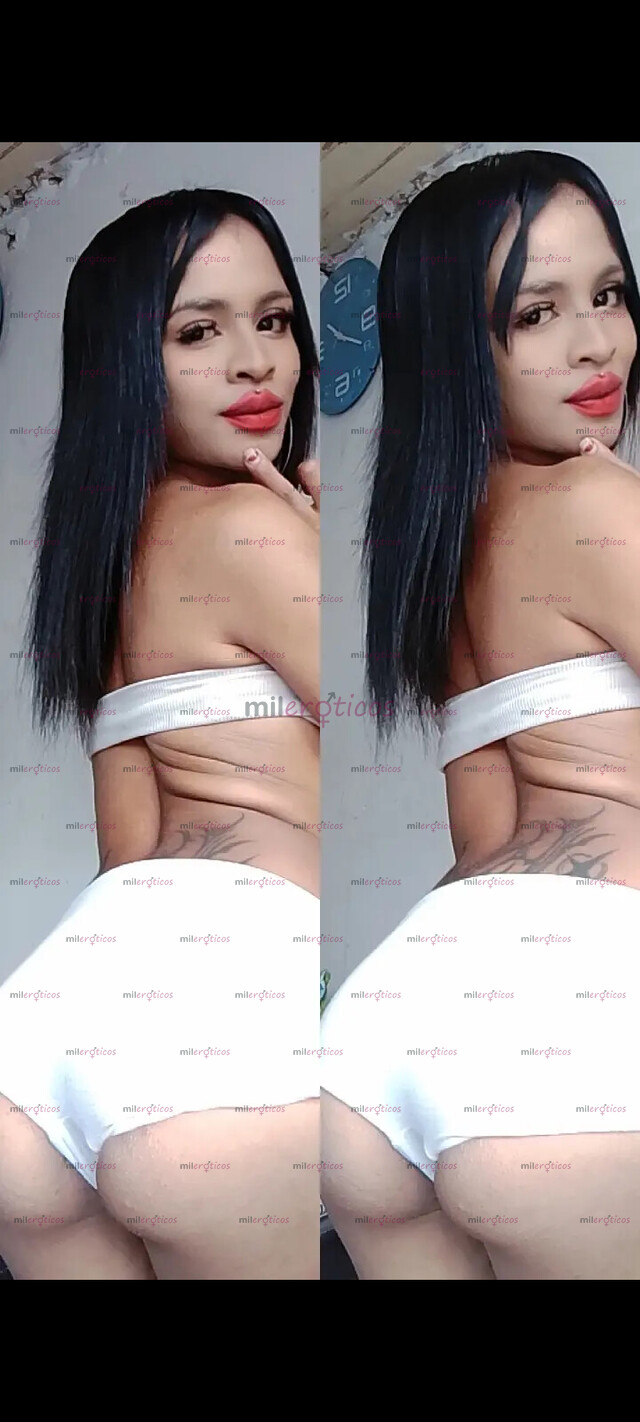 FOTOS DE CHICA TRANS FEMENINA DISPONIBLE PARA DOMICILIO O RESIDENCIA 3203560406