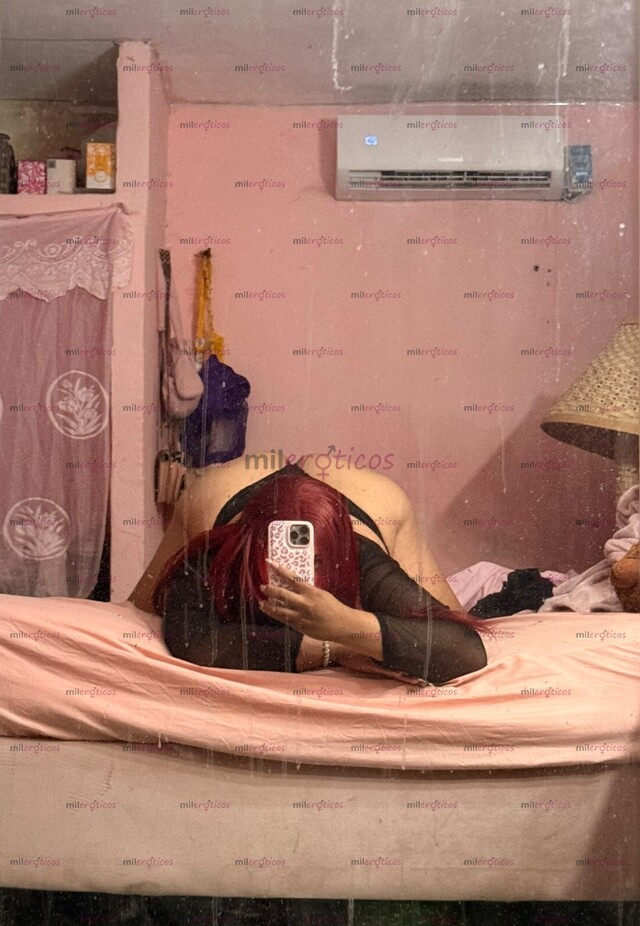 FOTOS DE TRANS TODO RICO CON PROTECCIÓN TODO LIMPIO