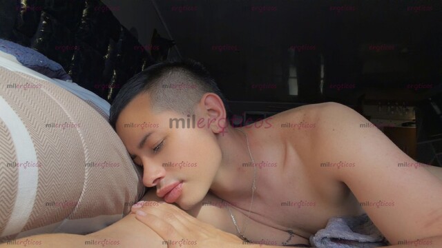 FOTOS DE POLLO VERGON VERSÁTIL CON SITIO PRIVADO