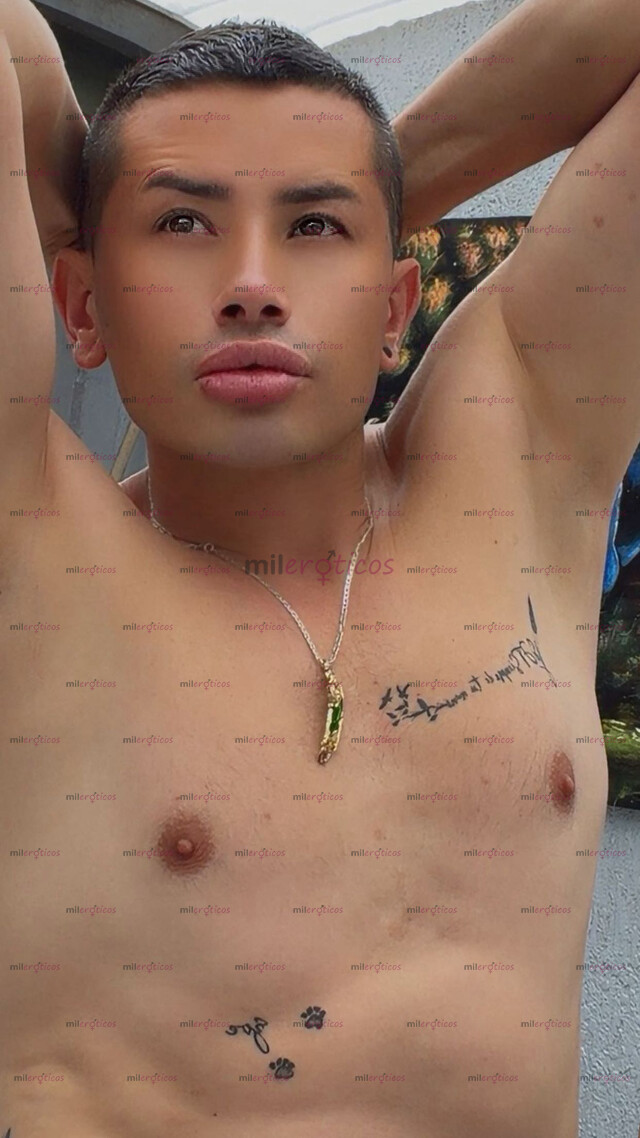 FOTOS DE POLLO VERGON VERSÁTIL CON SITIO PRIVADO