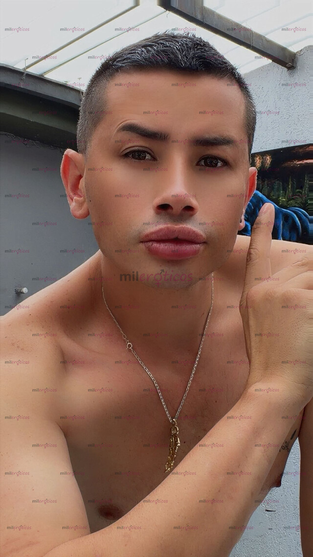 FOTOS DE POLLO VERGON VERSÁTIL CON SITIO PRIVADO