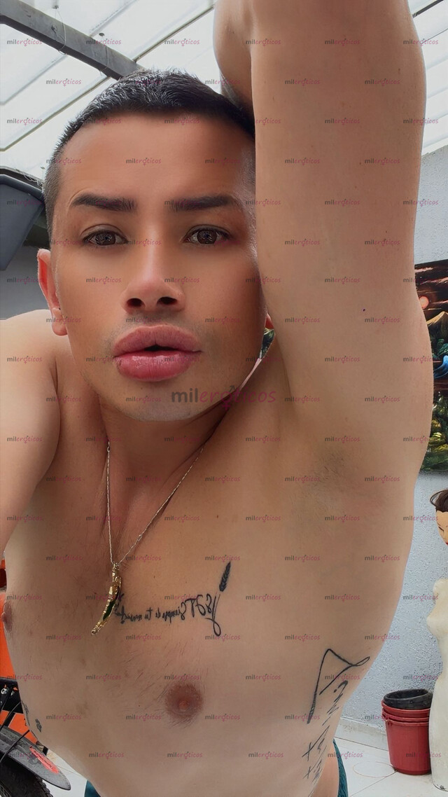 FOTOS DE POLLO VERGON VERSÁTIL CON SITIO PRIVADO