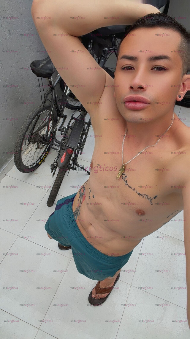 FOTOS DE POLLO VERGON VERSÁTIL CON SITIO PRIVADO