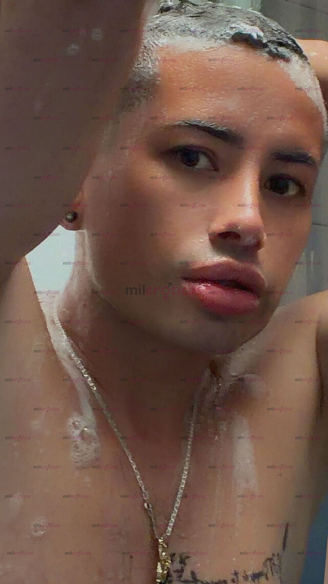 FOTOS DE POLLO VERGON VERSÁTIL CON SITIO PRIVADO