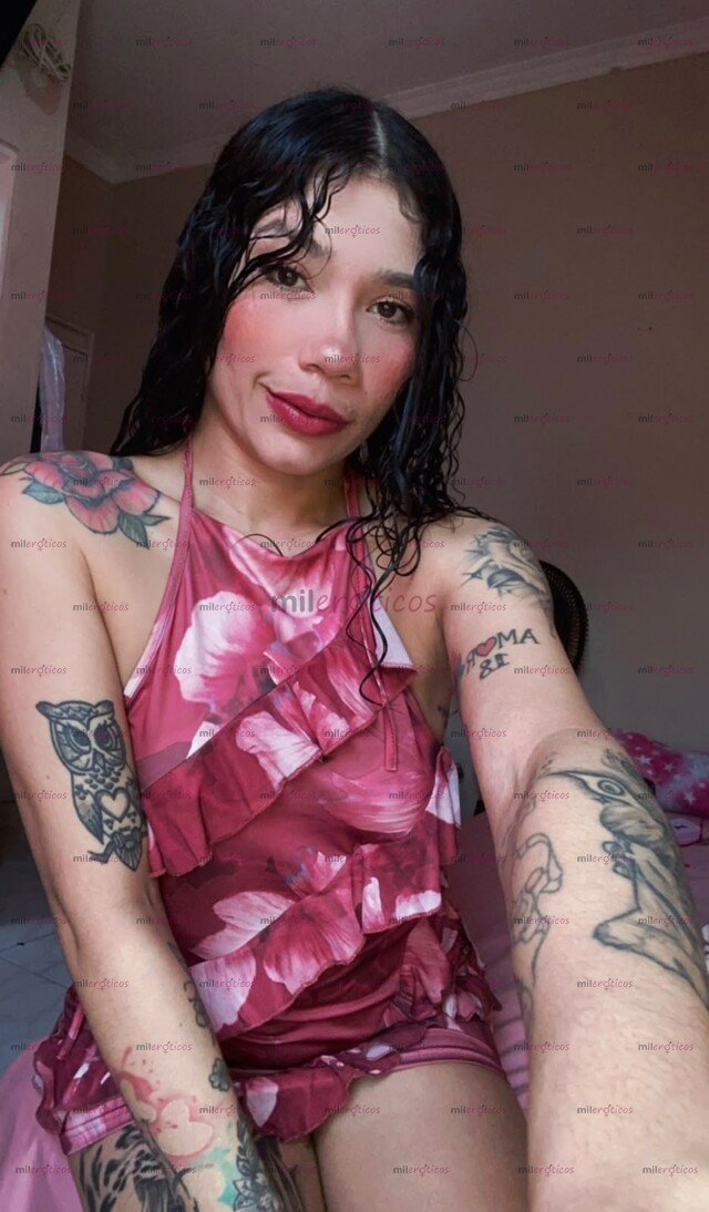FOTOS DE TU PUTA FAVORITA LLEGÓ, CRESPA PELI NEGRA DIVINA CON LA MEJOR ATENCIÓN