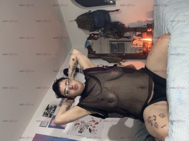 FOTOS DE POLLO TRANS VERSÁTIL MÁS PASIVO COMPLACIENTE
