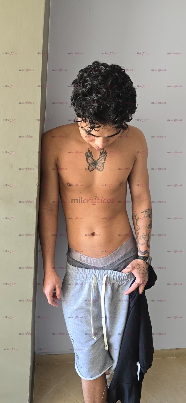 FOTOS DE POLLO DE 23 AÑOS MACHO NUEVO EN LA PAGINA, DISPONIBLE EN MEDELLÍN