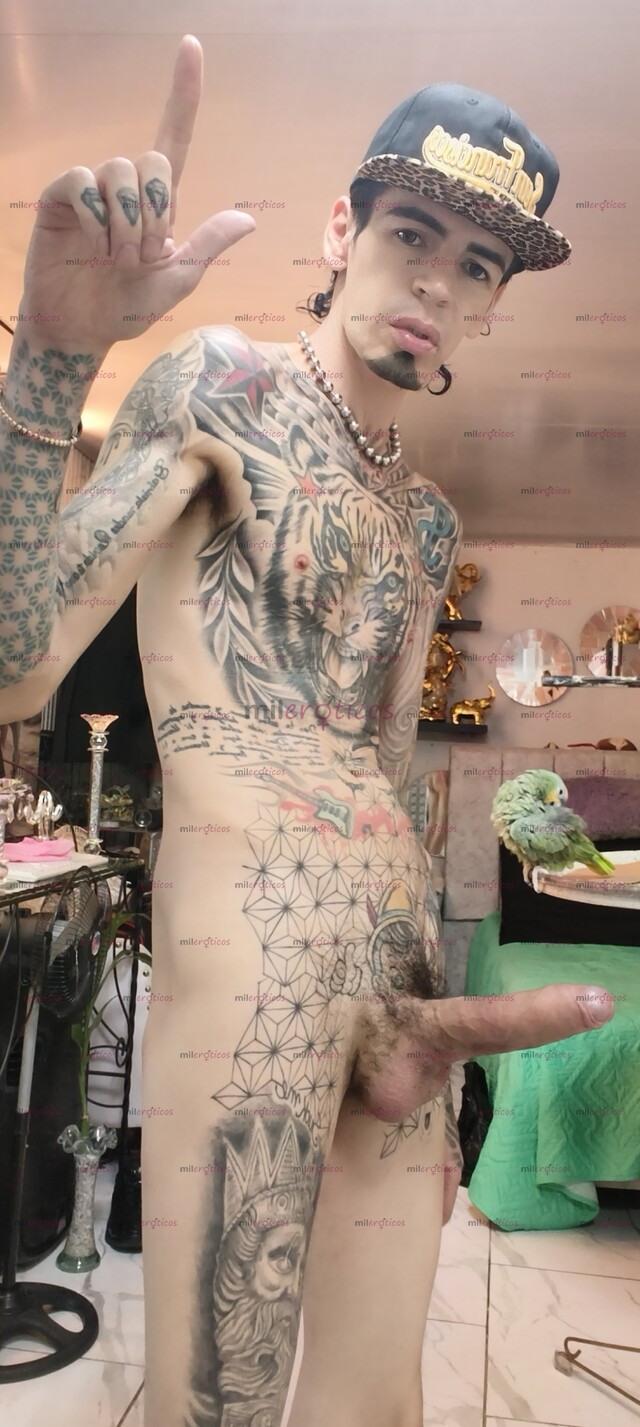 FOTOS DE FLACO ACTIVO BLANCO TATUADO MORBOSO CON SITIO