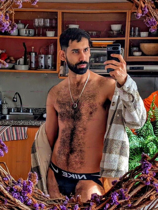 FOTOS DE PERSIAN WOLF LOBO PELUDO DOMINANTE, 1.85CM