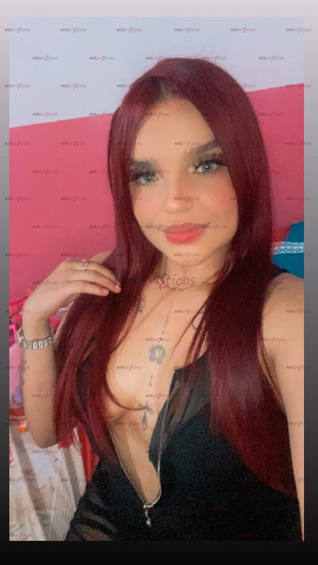 FOTOS DE LLEGÓ TU POTRA LA QUE TE HARÁ LLEGAR AL MAXIMO ORGASMO BEBE