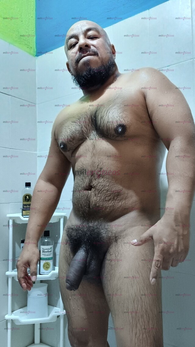 FOTOS DE ACTIVO PACHÓN TIPO CHACA DE BUEN TRATO Y PARA GUSTOS DIFERENTES!
