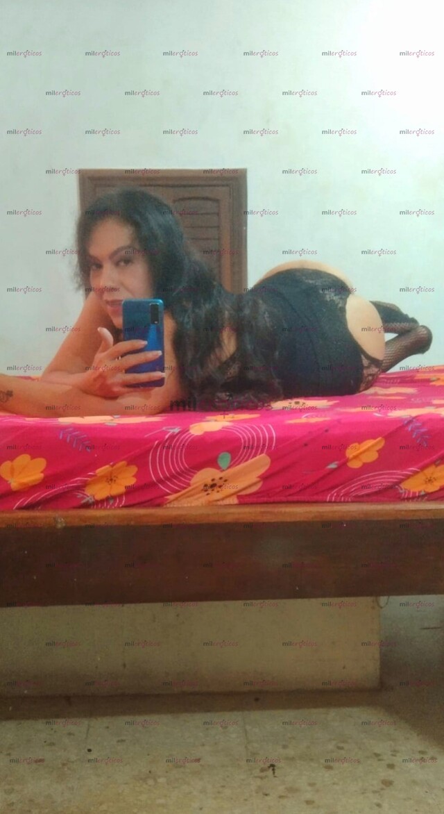 FOTOS DE CONTACTAME SOY TU GORDITA TRAVESTI COMPLACIENTE