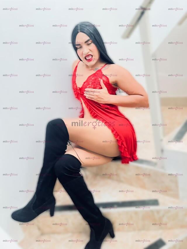 FOTOS DE COJAME ASI EN CUATRO ASME GRITAR DE PLACER DERRAMA TÚ LECHE EN MI CULITO GRANDE