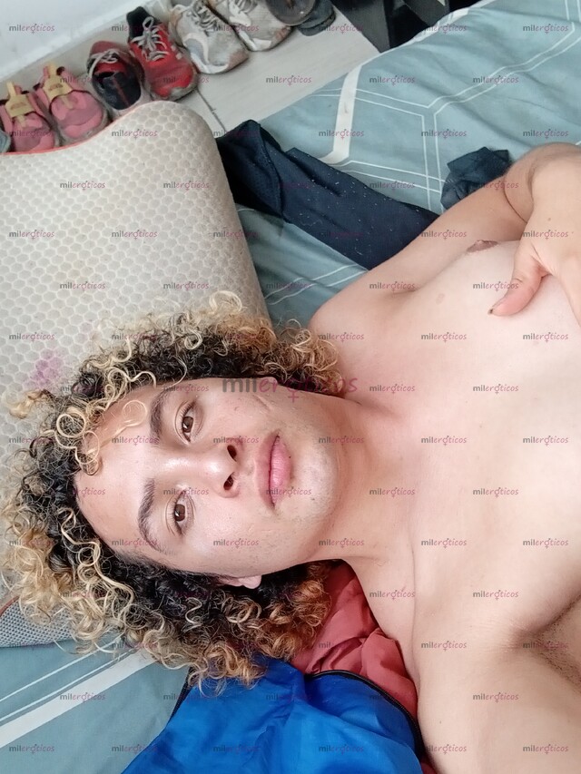 FOTOS DE PERRITO TWINKI DE 24 AÑOS RECIEN SALIDO DEL ANEXO BUSCA PREÑARTE ACON CONDONO