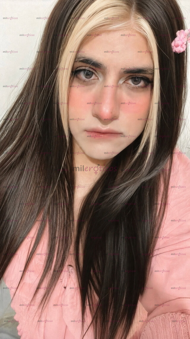 FOTOS DE TAMMY CHICA TRANS DISCRETA Y MUY COMPLACIENTE