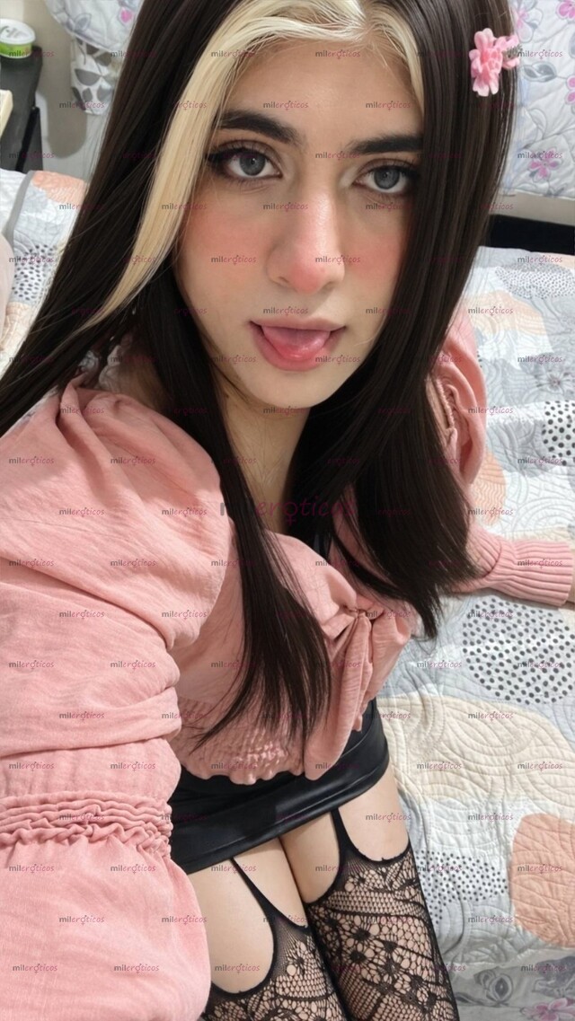 FOTOS DE TAMMY CHICA TRANS DISCRETA Y MUY COMPLACIENTE