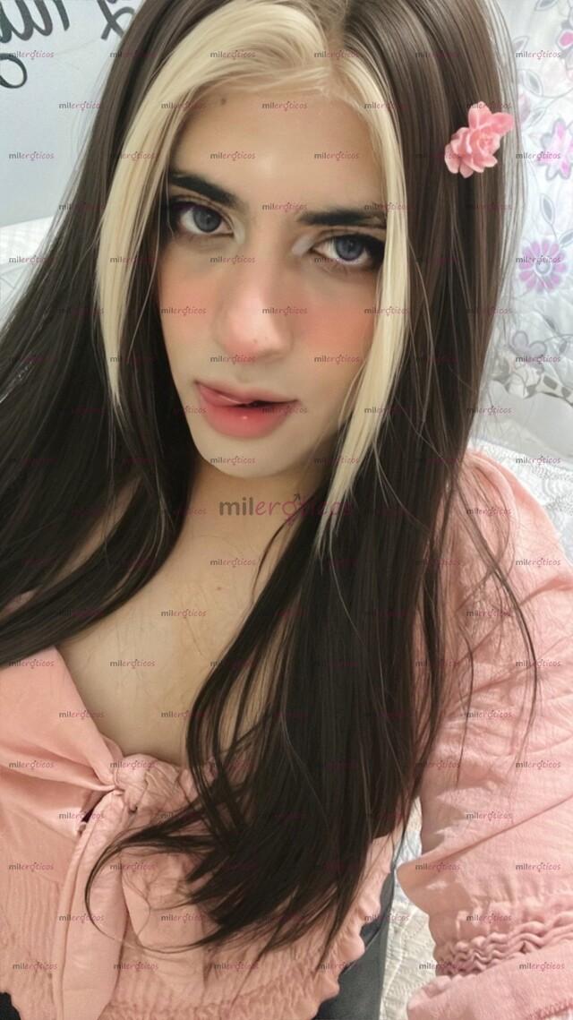 FOTOS DE TAMMY CHICA TRANS DISCRETA Y MUY COMPLACIENTE