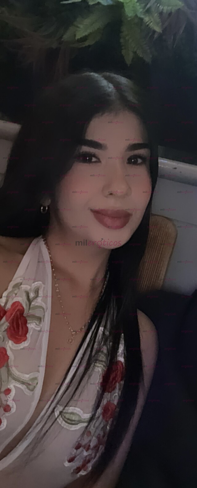 FOTOS DE NUEVA RECIEN LLEGADA , ESTRÉNAME ! CATALINA DE 20 AÑOS