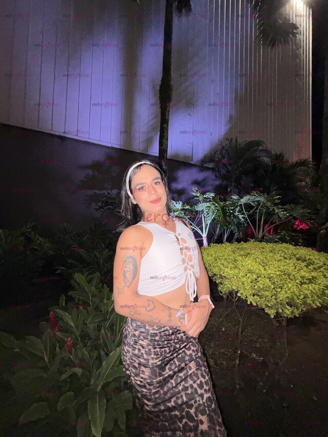 FOTOS DE HOLA AMOR SOY MÍA NUEVA CHICA TRANS LINDA Y TATUADA DISPUESTA A COMPLACERTE