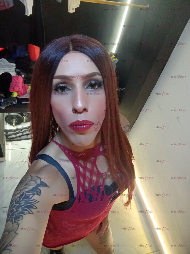 FOTOS DE HOLA ESTOY EN CUBA MIS AMORES APARTAMENTO PRIVADO RESERVADO DISCRETO