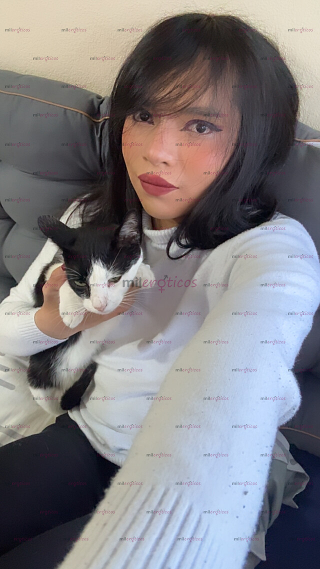 FOTOS DE YUNG, TRANS DELGADA Y PEQUEÑA LISTA PARA SATISFACER TUS DESEOS.