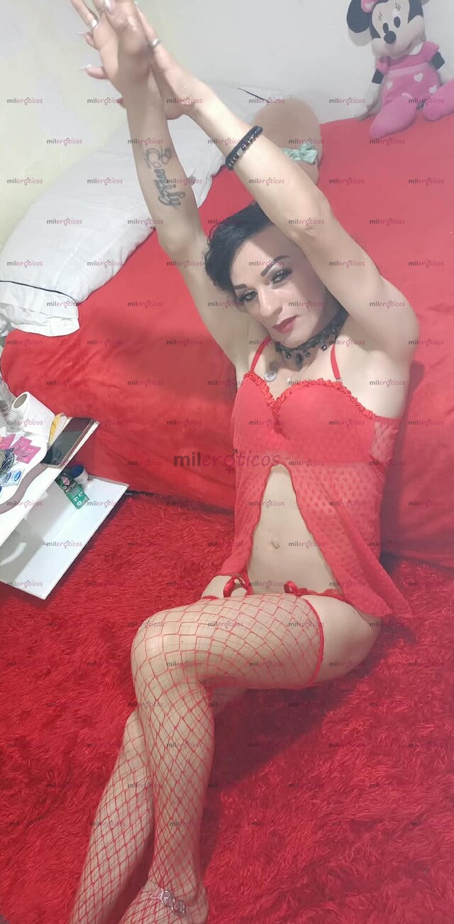 FOTOS DE HOLA SOY TIFFA UNA HERMOSA CHICA TRANS ROLITA SÚPER DESCOMPLICADA Y MUY CALIENTE