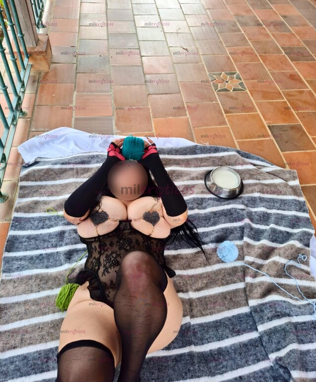 FOTOS DE ¡ADOPTAME POR HORA! GATITA CURVY TETONA SOLO DOMICILIO