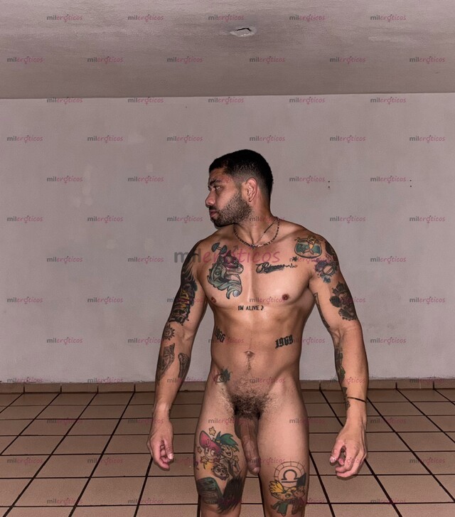 FOTOS DE XXL DSP MASCULINO ATLÉTICO FITNES VERGON DSP EN TU CIUDAD
