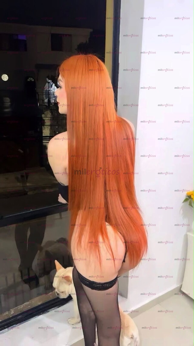 FOTOS DE TU FANTASÍA HECHA REALIDAD, ENVUELTA EN LUJO .