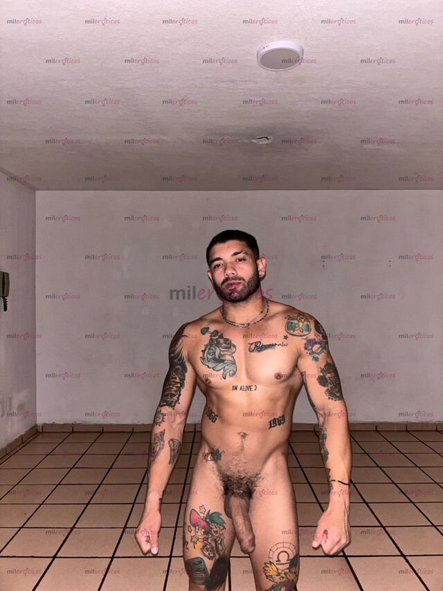 FOTOS DE XXL DSP MASCULINO ATLÉTICO FITNES VERGON DSP EN TU CIUDAD