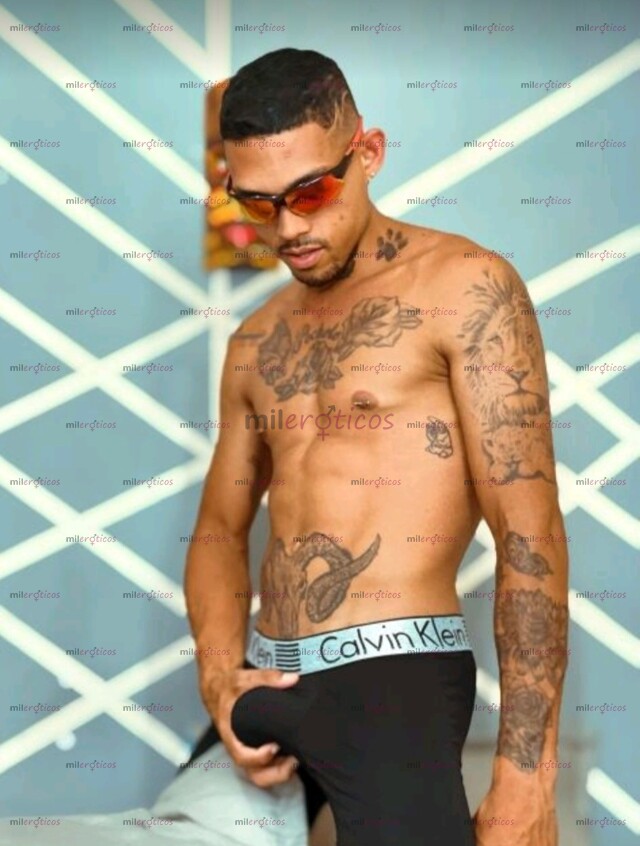 FOTOS DE LATINO MORENO TATUADO, DOTADO Y CABALLERO EN LAURELES